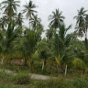 Meet your Posher, Vicenta